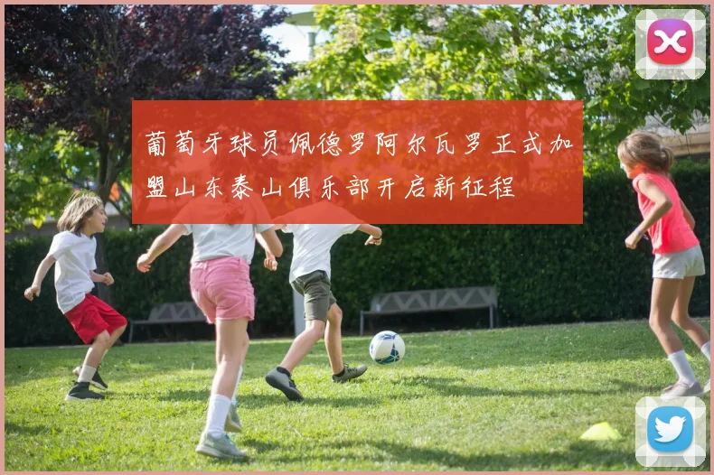 葡萄牙球员佩德罗阿尔瓦罗正式加盟山东泰山俱乐部开启新征程