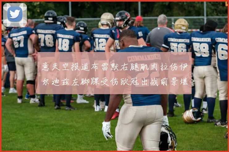 意天空报道布雷默右腿肌肉拉伤伊尔迪兹左脚踝受伤欧冠出战前景堪忧