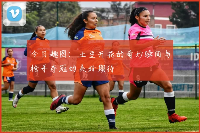 今日趣图：土豆开花的奇妙瞬间与枪手夺冠的美好期待