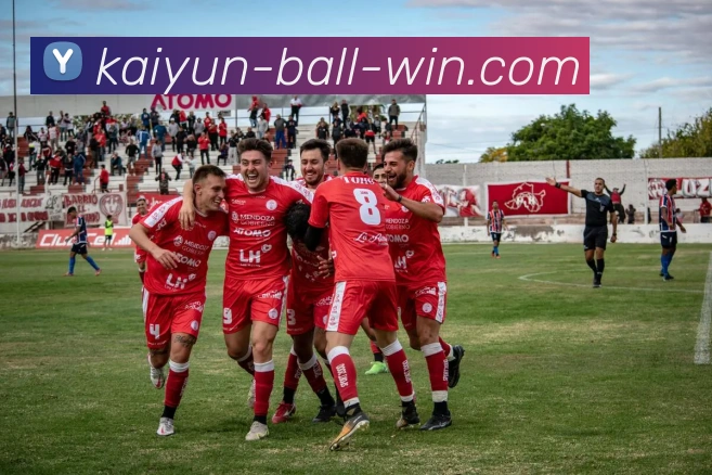 开云足球平台生态图